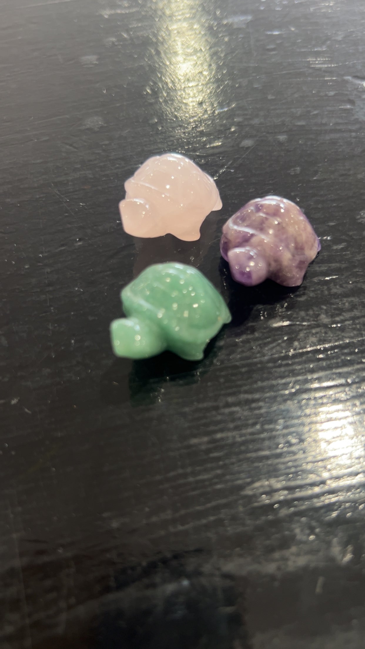 Assorted Crystal Turtle