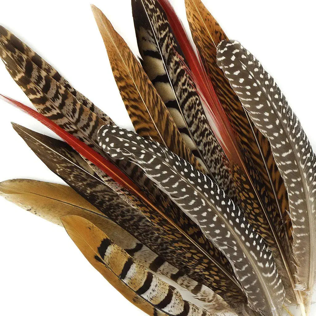 Tall Pheasant Feathers