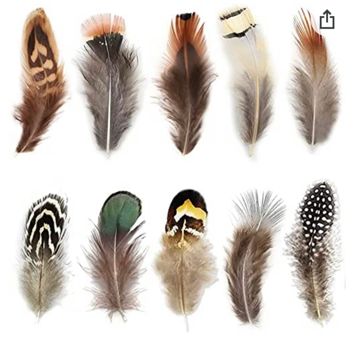 Small Natural Feather