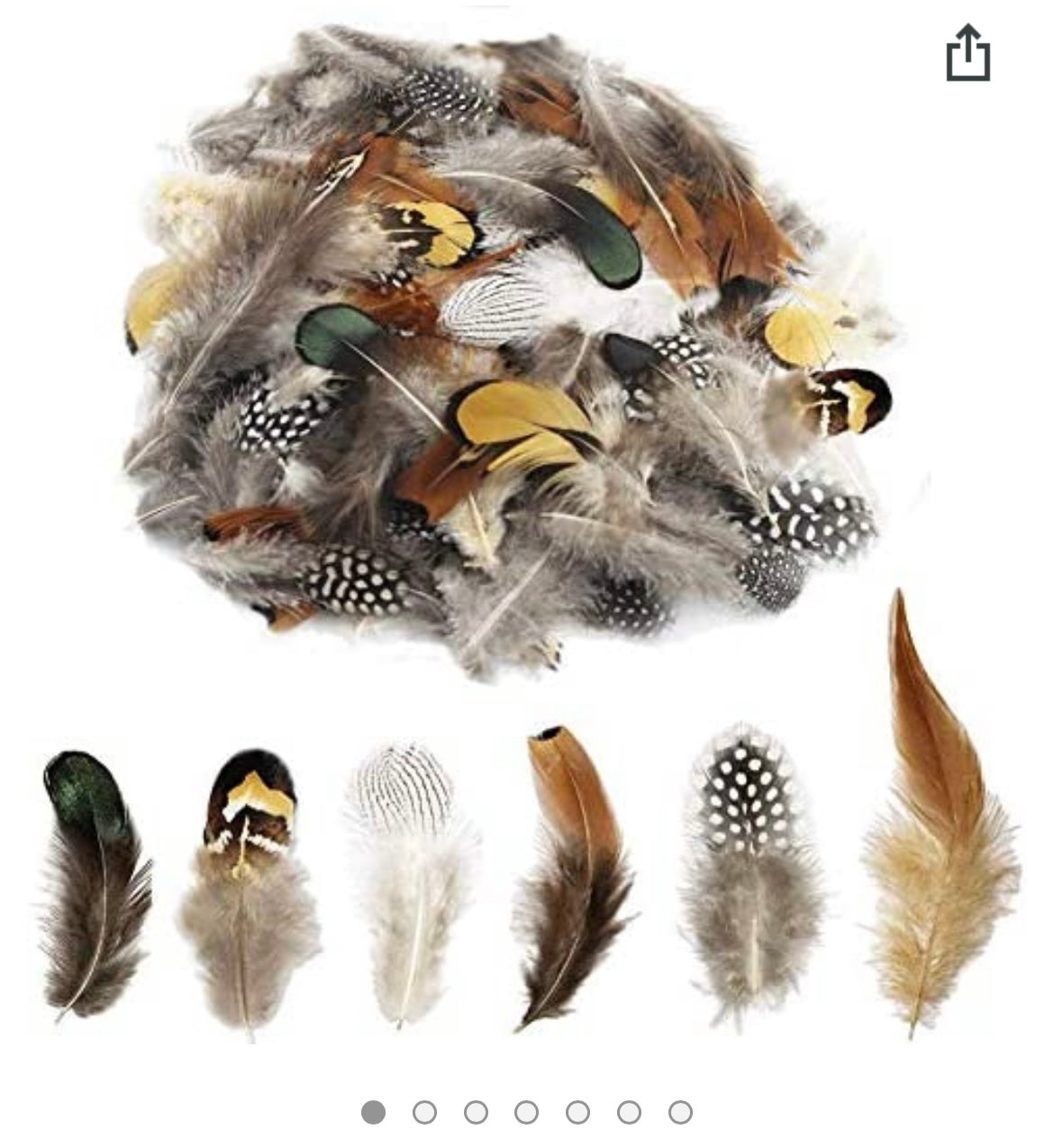 Small Natural Feather