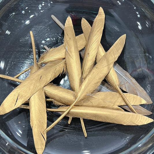 Gold Feather Brim Bar